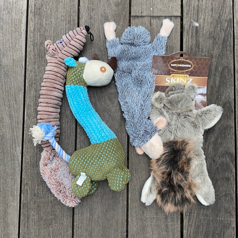 New dog toys.